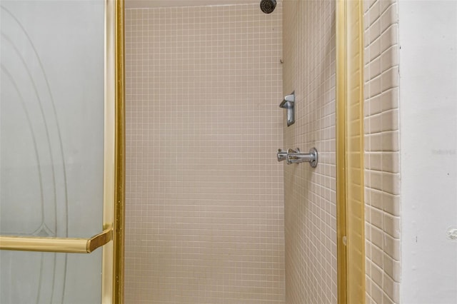 interior details featuring a tile shower