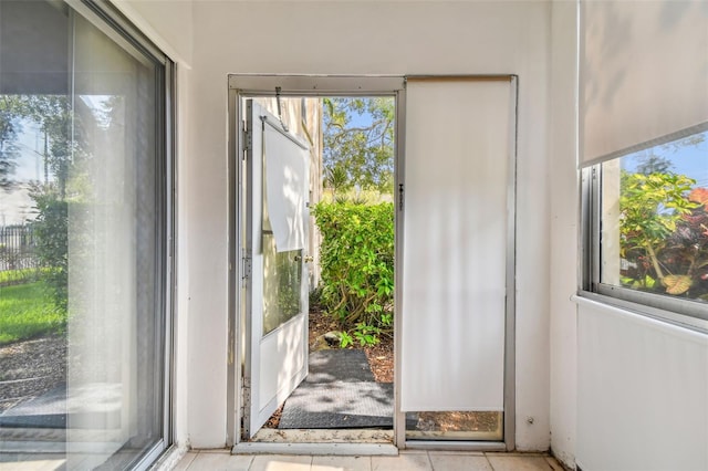 entryway featuring a wealth of natural light