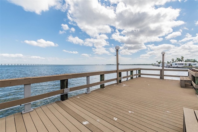 dock area with a water view