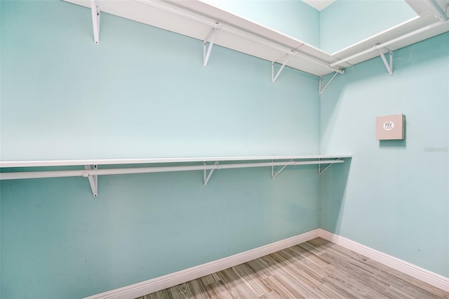 walk in closet featuring wood finished floors