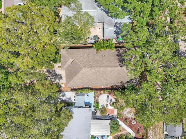 131 Pennsylvania Ave, Palm Harbor, FL 34683 - photo 22