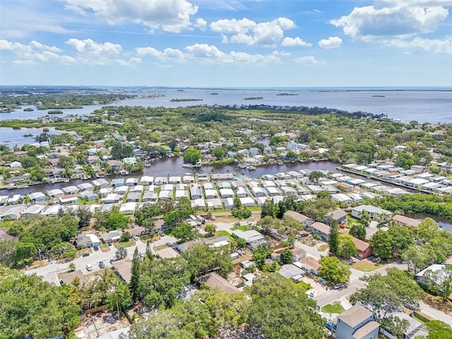 131 Pennsylvania Ave, Palm Harbor, FL 34683 - photo 23