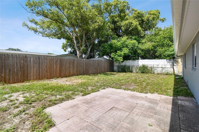 view of yard with a patio area