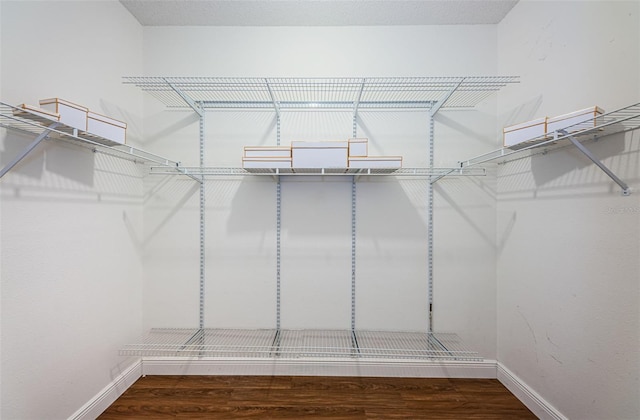 walk in closet with hardwood / wood-style flooring