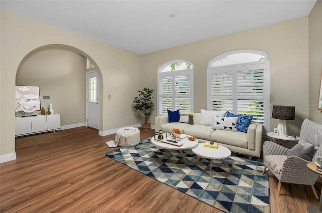 living room with hardwood / wood-style flooring