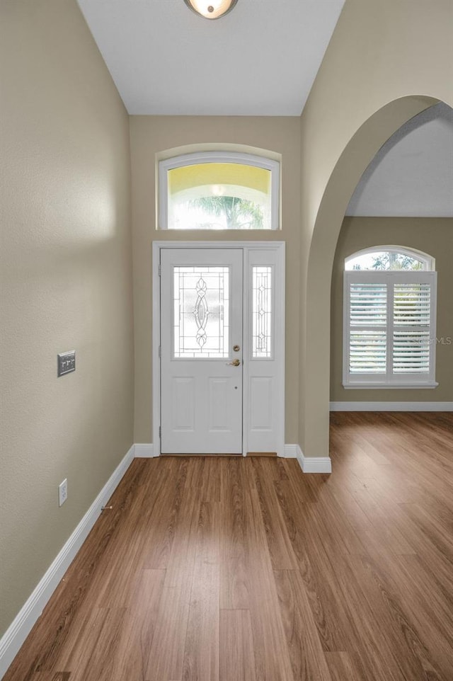 foyer entrance with plenty of natural light and hardwood / wood-style flooring