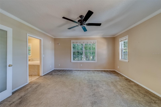 empty room with a textured ceiling, light colored carpet, ceiling fan, and ornamental molding