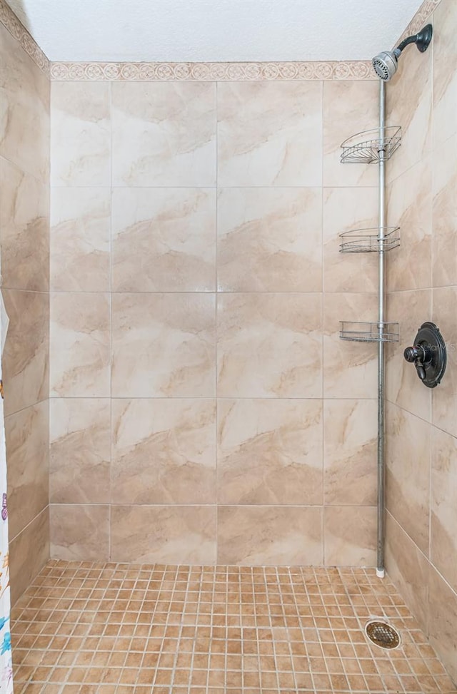 bathroom featuring a shower with shower curtain