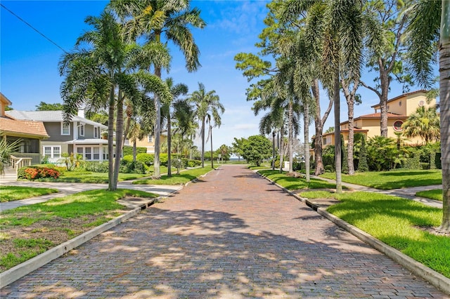 view of home's community with a lawn