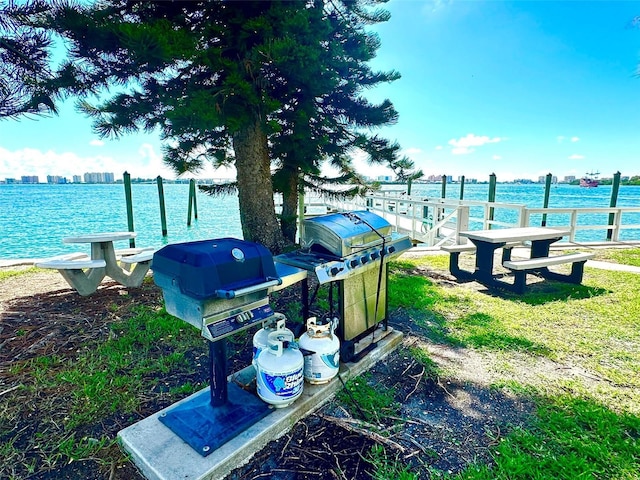 dock area with a water view