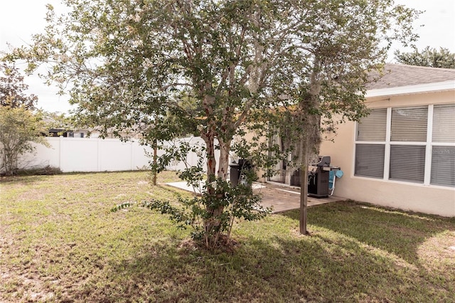 view of yard featuring a patio area