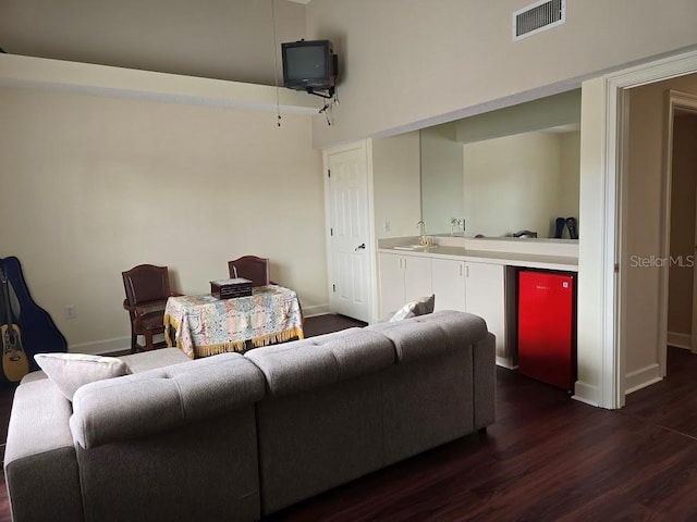 living room featuring sink and dark wood-type flooring