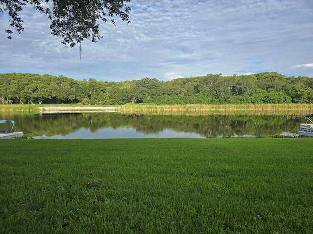 property view of water