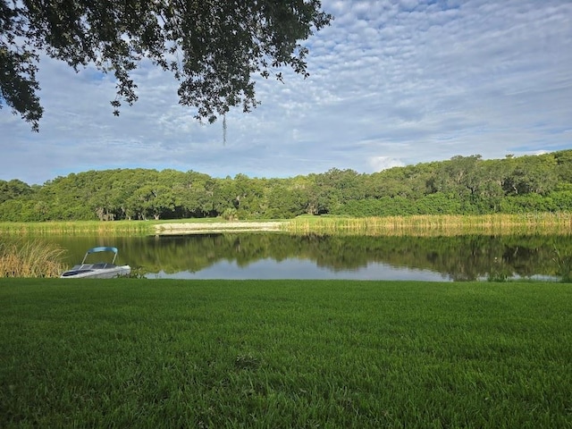 view of water feature