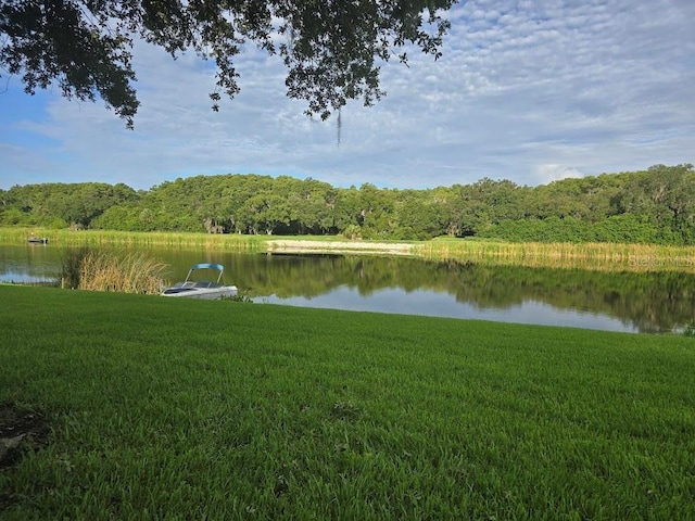 view of water feature