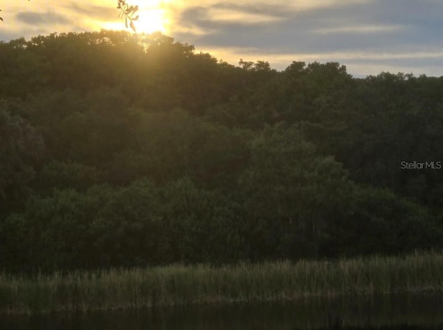 view of nature at dusk