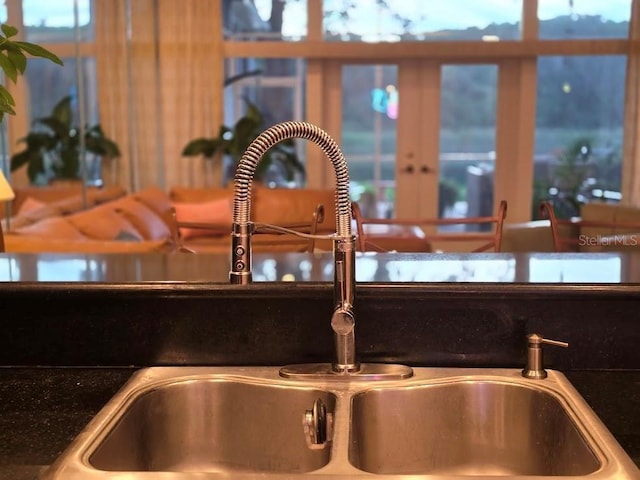 details featuring sink and french doors