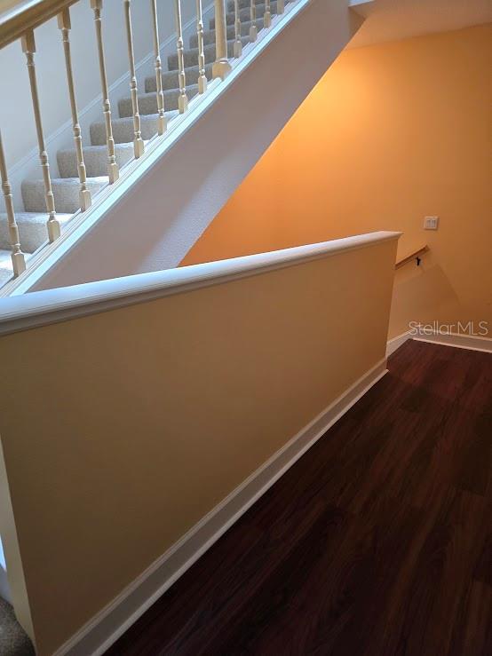 staircase featuring wood-type flooring