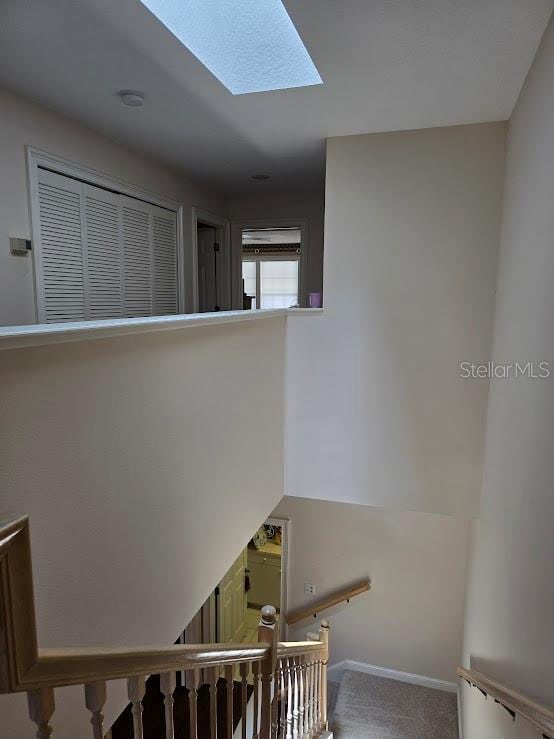 stairway featuring a skylight and carpet flooring