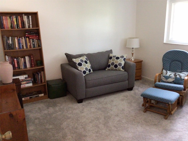 view of carpeted living area