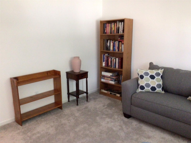 sitting room featuring light carpet