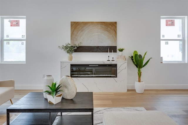 living room with hardwood / wood-style floors