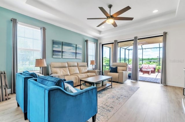 living room featuring light hardwood / wood-style floors and a raised ceiling