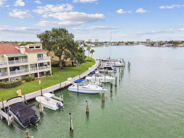 dock area with a water view