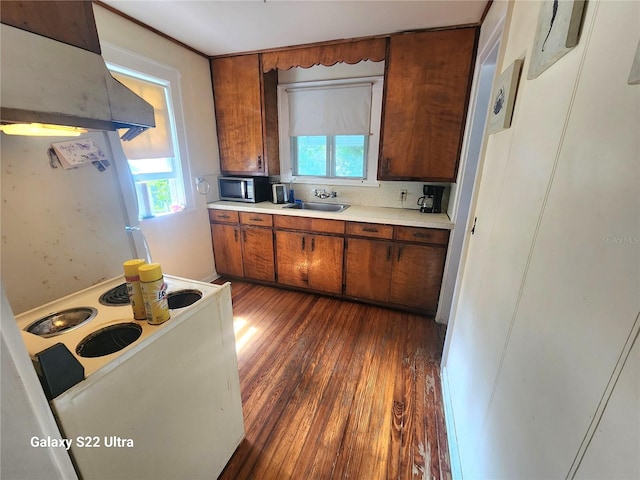 kitchen featuring sink, decorative backsplash, dark hardwood / wood-style floors, and range hood