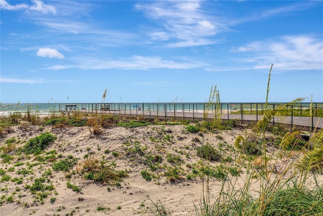 water view with a view of the beach