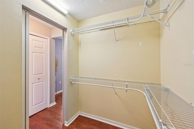 spacious closet featuring hardwood / wood-style flooring