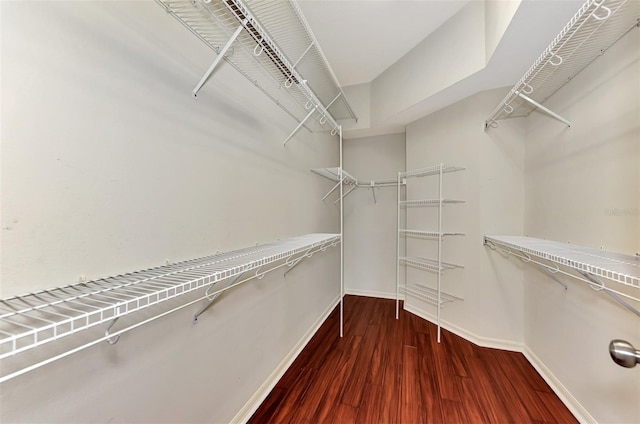 spacious closet with wood-type flooring