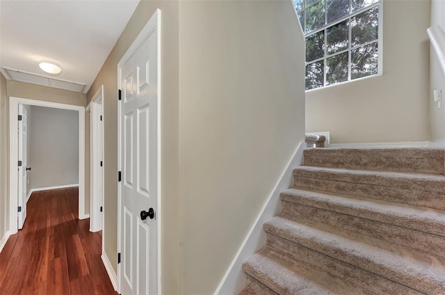 stairway with hardwood / wood-style flooring