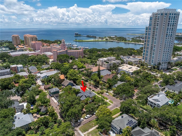 aerial view with a water view