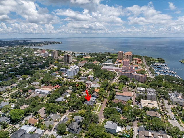 drone / aerial view with a water view