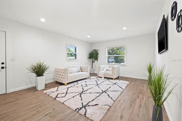 508 Brooker Rd, Brandon, FL 33511 - living room with wood finished floors, baseboards, and a wealth of natural light