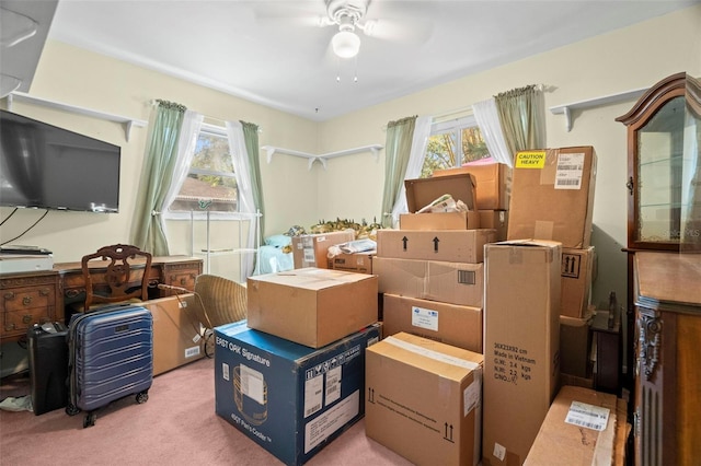 storage area featuring ceiling fan