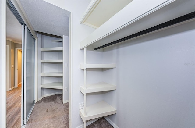 spacious closet featuring carpet