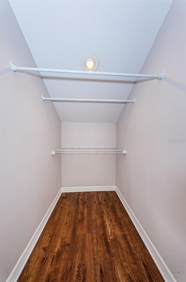 walk in closet with dark hardwood / wood-style flooring