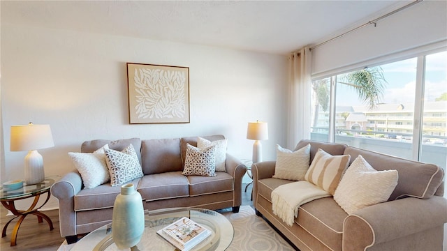 living room with hardwood / wood-style flooring