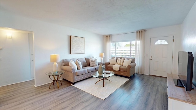 living room featuring wood-type flooring