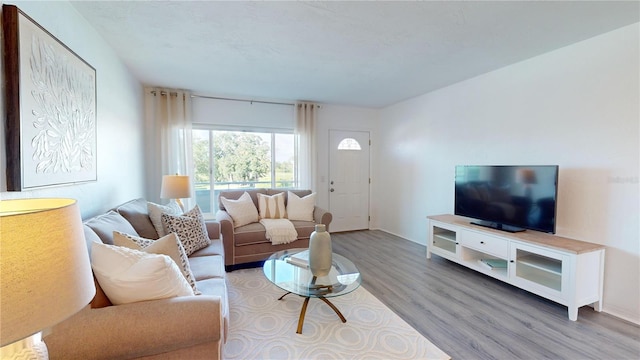 living room with hardwood / wood-style flooring