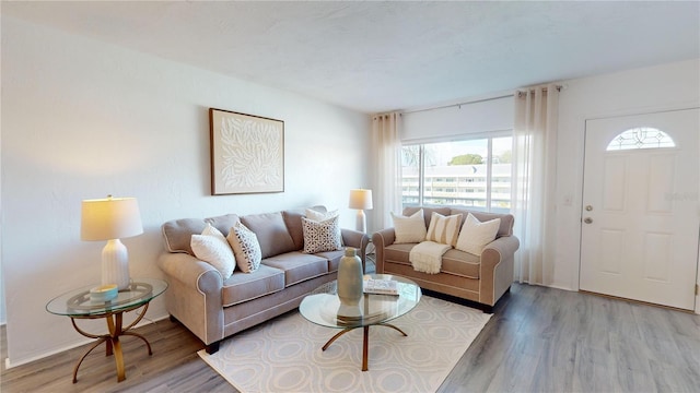 living room with hardwood / wood-style flooring