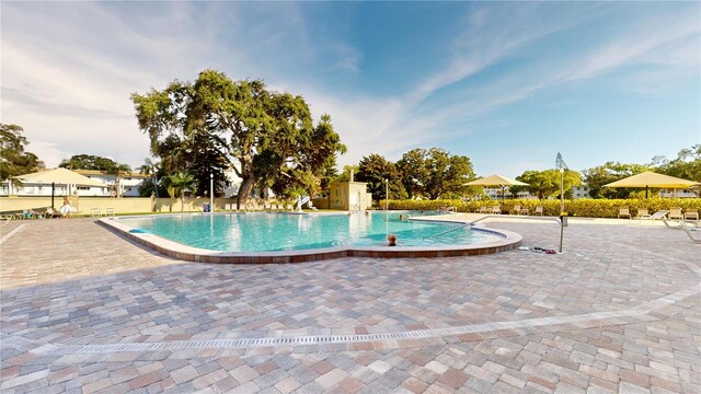 view of swimming pool with a patio area