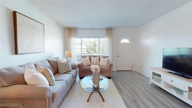 living room with light wood-type flooring