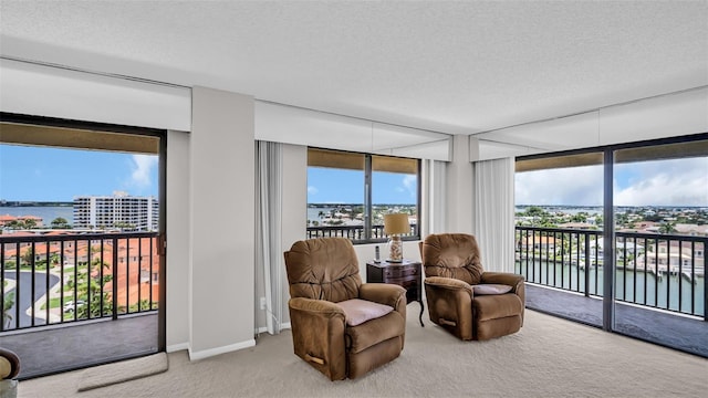 sunroom with a healthy amount of sunlight and a water view