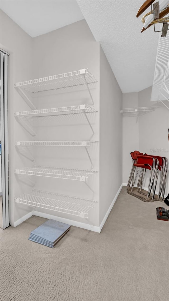 spacious closet featuring carpet flooring