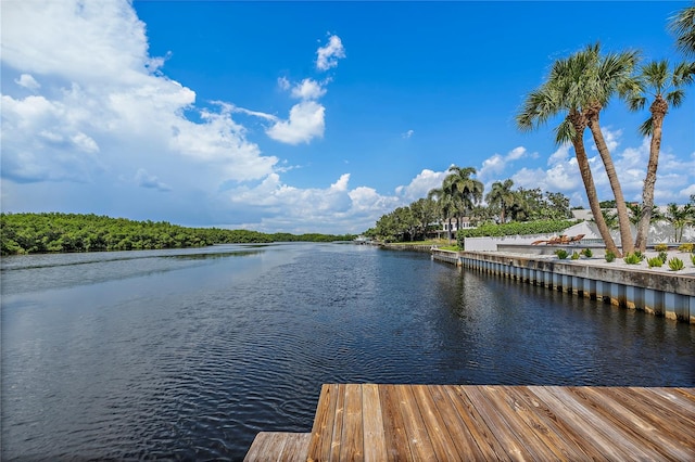 dock area with a water view