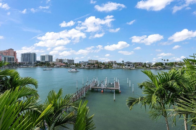 property view of water with a boat dock