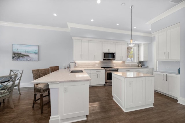 kitchen with white cabinetry, kitchen peninsula, dark hardwood / wood-style floors, appliances with stainless steel finishes, and sink